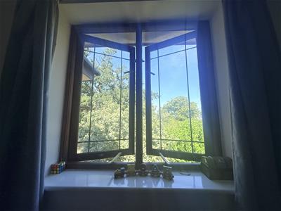 Picture 17